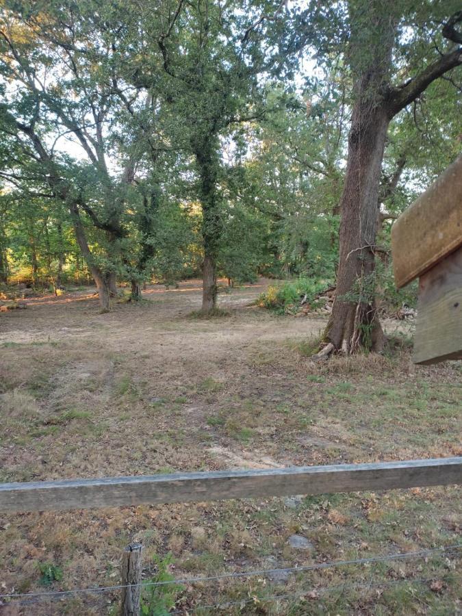 Maisonnette Vue Sur Foret Campagne  エクステリア 写真