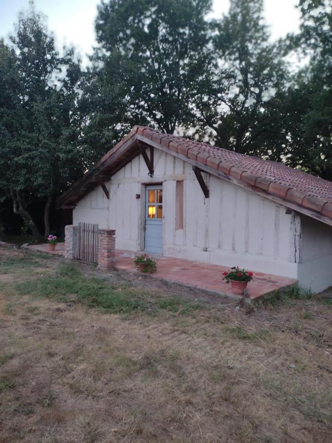 Maisonnette Vue Sur Foret Campagne  エクステリア 写真